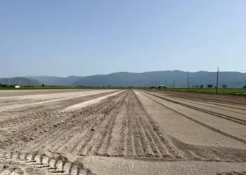 Siccità, riconosciuta la calamità naturale: al via le domande di sostegno