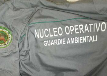 La Guardia Agroforestale distaccamento Abruzzo ottiene il decreto per la nomina di Agente accertatore di vigilanza