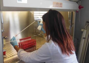 Giornata mondiale dell’acqua, il progetto del Crua: con il “Ricrea” utilizzo sostenibile delle risorse