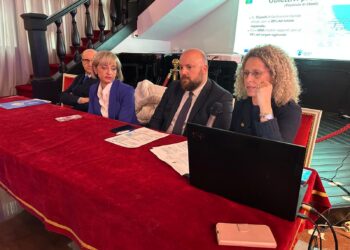 Punti digitali facili, Magnacca: “Nostro impegno trovare altri fondi”