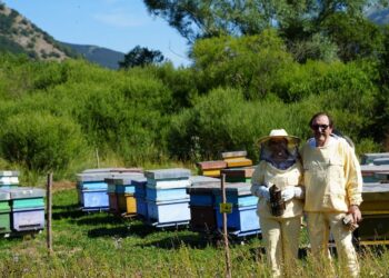 Apicoltura Luca Finocchio riconquista Parigi: al Piha l’azienda di Tornareccio premio platino per il miele di Acacia