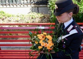 Carabinieri di Giulianova, intensificata la vigilanza nella zona costiera