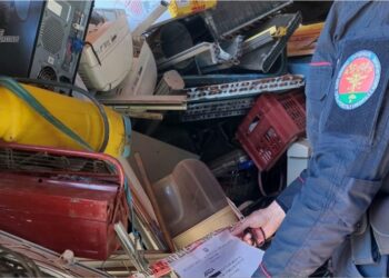 Morro d’Oro, Carabinieri Forestali sequestrano capannone con rifiuti stoccati illegalmente
