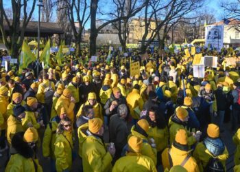 Coldiretti Abruzzo, dalla piazza giallo-blu di Parma la richiesta all’Europa: più coraggio e pace