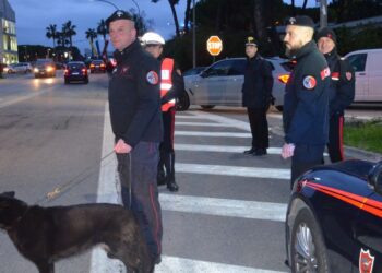 Contrasto alla prostituzione, controlli dei carabinieri: sanzioni e Daspo urbano