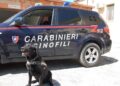 Valle Peligna, operazione antidroga dei carabinieri: arrestato 31enne, denunciato 63enne