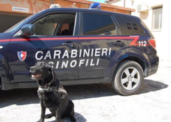 Valle Peligna, operazione antidroga dei carabinieri: arrestato 31enne, denunciato 63enne