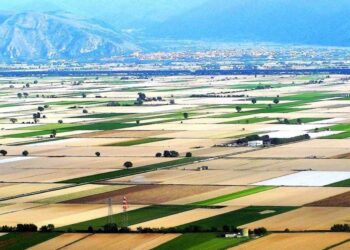 Impianti energia rinnovabile, Blasiolie e Pepe presentano emendamenti: “la nuova legge minaccia aree agricole”