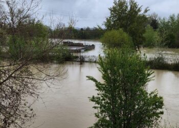 Maltempo sulla costa, allagamenti e situazioni critiche: allerta meteo della Protezione civile su tutta la regione (foto)
