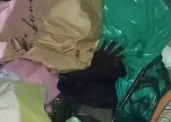 Dorme nel cassonetto e viene scaricato nel camion dei rifiuti: salvato poco prima di essere triturato