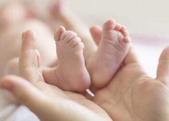 Bonus Benvenuti all’Aquila per i nuovi nati, i primi beneficiari hanno già compiuto 2 anni