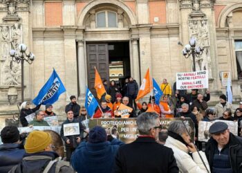 Uccisione Amarena, fissata la data per la prima udienza del processo a Leombruni: sarà il 24 giugno