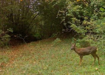 Dal Ministero del Turismo quasi due milioni di euro per rilanciare il turismo montano in Abruzzo