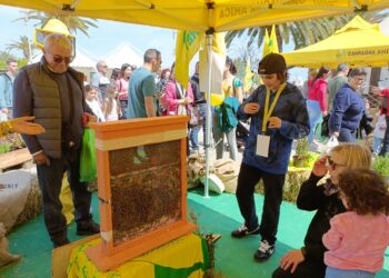 Mostra del fiore di Pescara, oggi i piccoli tour dell’orto
