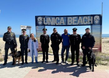 Cani in divisa, ora in pensione: su canale 5, nuove terapie e storie di rinascita degli amici quattro zampe