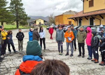 Una strada per le salamandre: l’iniziativa di Parco Maiella e SHI sulla provinciale 164
