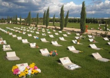 Cimitero per animali d’affezione a Pescara: approvata la Mozione proposta dal Consigliere Presutti