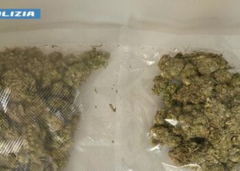 In giro con oltre un etto di marijuana in auto: denunciata una 55enne