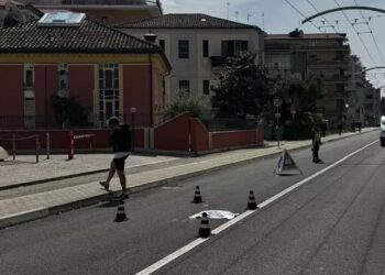 Partenza con dramma per i bus elettrici a Pescara, investito e ucciso un cagnolino