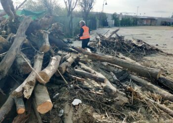 Maltempo, completata da Ambiente Spa la rimozione dei detriti dalla spiaggia di Pescara