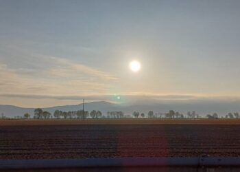 Cipolle, patate, carote e radicchio distrutti dalla grandine: sindaci scrivono alla Regione