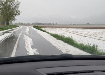 Grandinata shock piomba sul Fucino, campi distrutti e danni (foto)