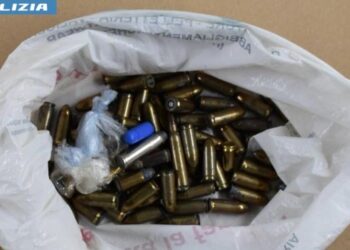 Terreno “coltivato” con droga e munizioni: i poliziotti trovano 72 proiettili e 100 grammi di stupefacenti