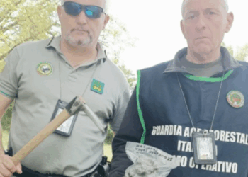 Bracconaggio tartufi, le guardie ecozoofile-ambientali lo sorprendono sul fatto: multa da 2000 euro