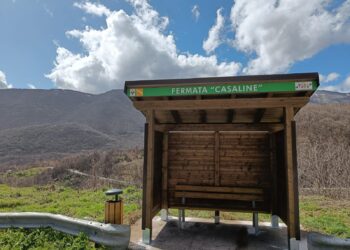 Riqualificate 11 fermate del trasporto pubblico all’Aquila: nuove pensiline anche nelle frazioni