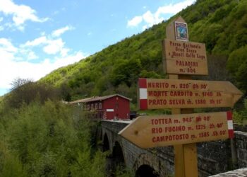 Chiusura del ponte Paladini sulla SS 80, le opposizioni contro Marsilio e D’Annuntiis: “Ennesimo fallimento”