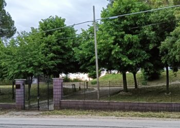 Experience in the Park a Pollutri il 25 maggio: una giornata alla villa comunale tra cibo, relax e natura