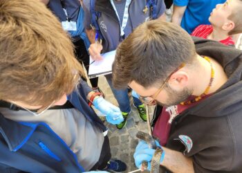 Quasi 70 serpenti (biacchi) protagonisti questa mattina a Pretoro per la “Festa dei serpari”