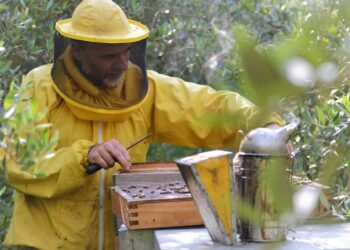 Confcooperative celebra la Giornata mondiale delle api a Pescasseroli con UnaAPI e FAI