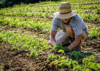 Bracciante abbandonato davanti all’ospedale di Pescina e lotta al caporalato: vertice in Prefettura