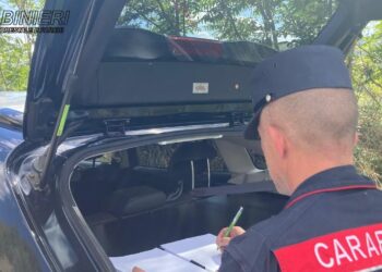 I carabinieri forestali lo sorprendono a bruciare rifiuti, denunciato