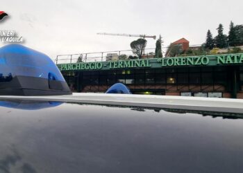 Blitz antidroga dei carabinieri con il cane Gipsy, sequestrati 100 grammi di stupefacenti: 2 arresti