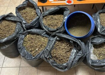 Sequestro record, 87 chili di marijuana nascosti nei sacchi di plastica: nei guai un 28enne