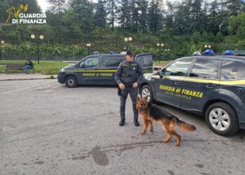 Con la droga al terminal bus per spacciarla ai viaggiatori, operazione della GdF