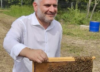 Giornata delle api, D’Eramo: “Attuate misure concrete per sostenere la filiera”