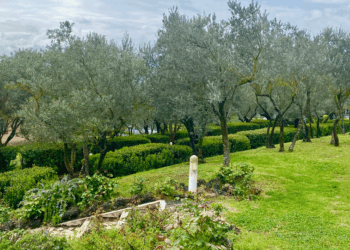 Cure termali a Popoli: trasporto gratuito e sostegno alla salute per i residenti di Paglieta