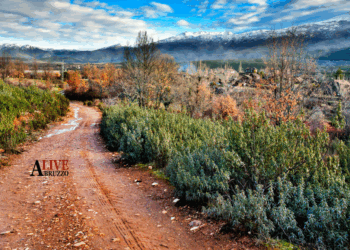 All’Aquila ok da commissione consiliare territorio sul piano dei tratturi