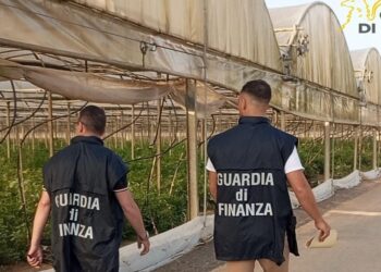 Maxi blitz anti caporalato nel Fucino, trovati lavoratori irregolari e in “nero”: numerose sanzioni