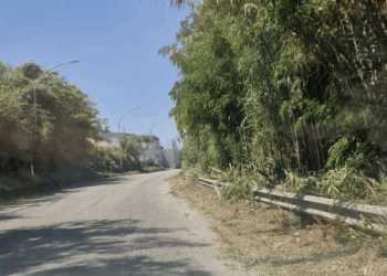 Sfalci iniziati a Chieti, ecco l’elenco delle strade dove sono già al lavoro gli operai