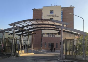 Movida Vasto, Lega Giovani: basta con le ordinanze calate dall’alto, aprire subito un tavolo con gli operatori