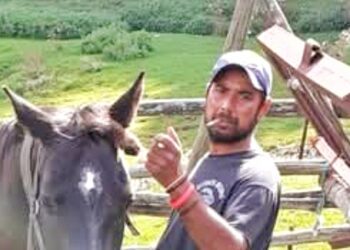 Tragedia in una tenuta agricola: giovane colpito da un cavallo muore in ospedale