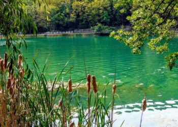 Tragedia al Lago Sinizzo: 21enne annegato, si teme un malore