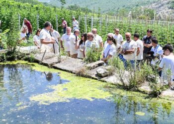 Bio Cantina Sociale Orsogna: al via il progetto di valorizzazione di 130 peschiere