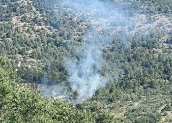 Violento incendio tra Raiano e Vittorito, fiamme alimentate dal vento: sul posto i Vigile del fuoco