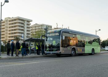Strada Parco: il Consiglio di Stato riconosce le ragioni del comitato, Sola (M5S): l’accesso alla giustizia non sia un lusso