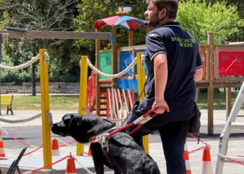 Un cane guida donato a Pescara dai Lions a una 17enne non vedente di Avezzano